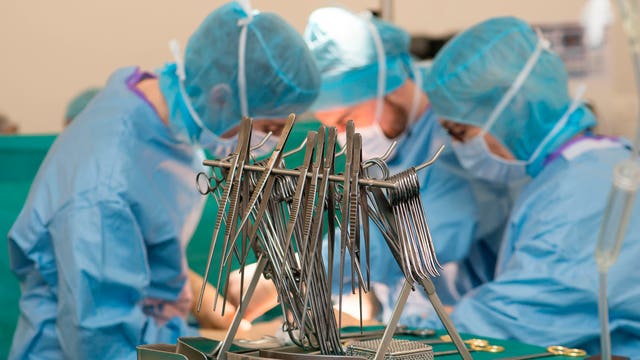 Organ transplants make a turnaround from COVID-19 decline
