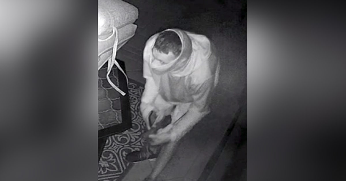 Hillsborough detectives searching for armed art burglar