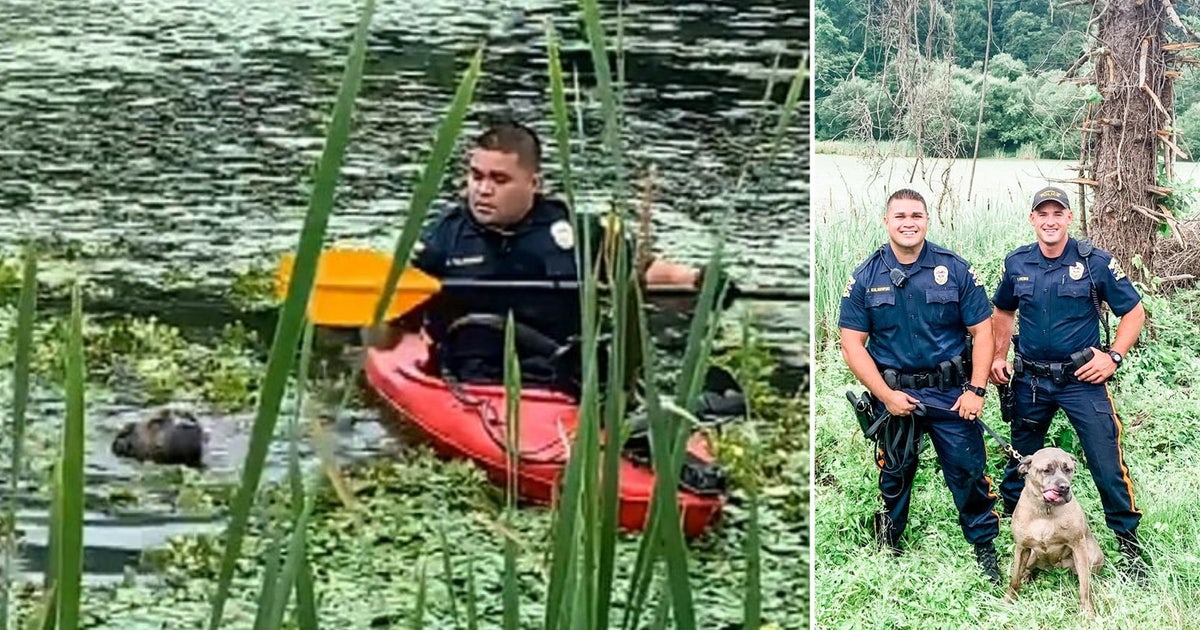 Police officer uses kayak to rescue struggling dog trapped in muddy NJ ...