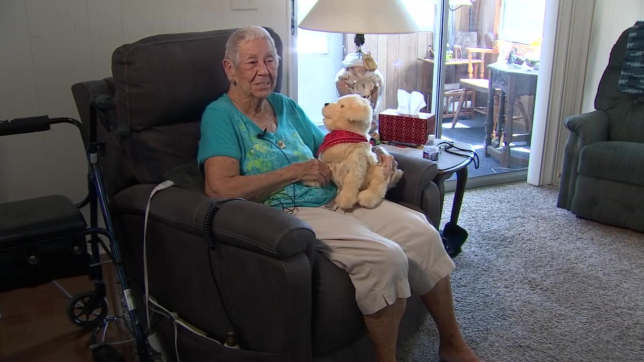 Robotic Animals Help Isolated Seniors Find Companionship During ...