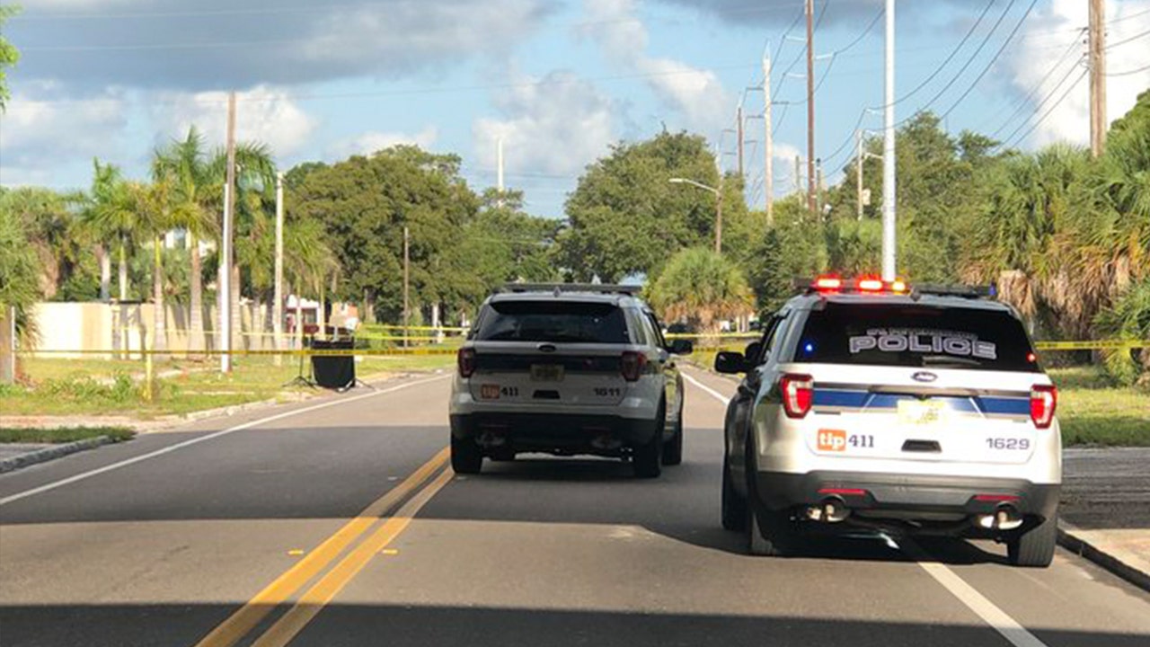 Jogger finds human head on side of St. Petersburg road, police say