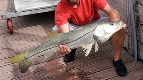 Fishing Report: July 10, 2020