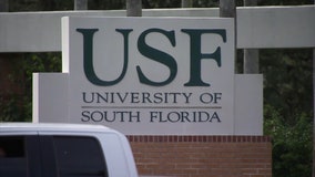 USF school officials, students push back against restrictions for international students