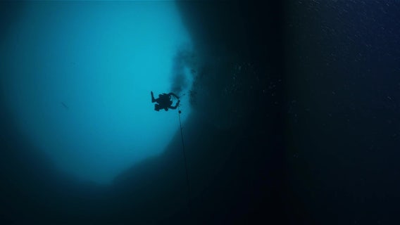 Mote scientists join expedition to investigate gulf's mysterious 'blue holes'