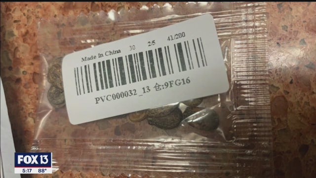 Trinity woman orders tulip bulbs from Amazon, receives seed packet from China instead