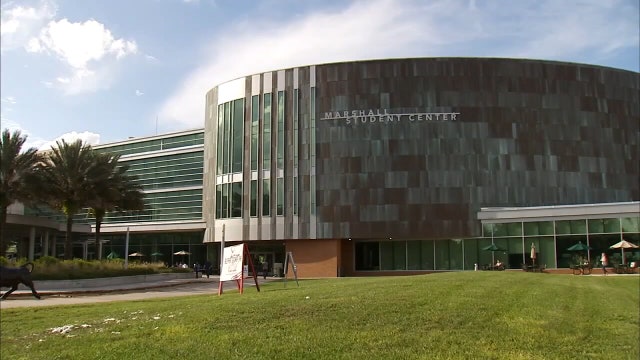 USF starts randomized pool testing for COVID-19 testing on campus