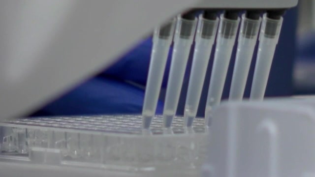 CDC: COVID-19 patients who quarantine, have no fever for 24 hours can go back to work