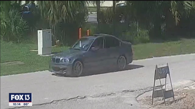BMW spotted leaving scene of hit-and-run crash at Humane Society of Tampa Bay