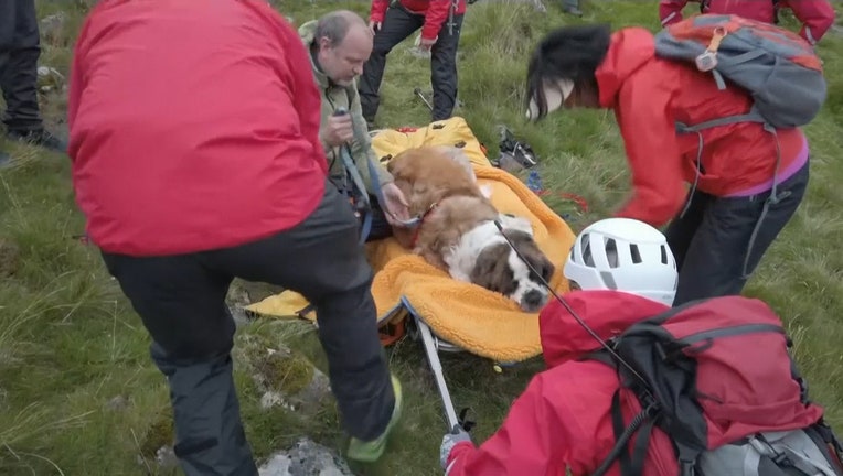 st bernard mountain rescue