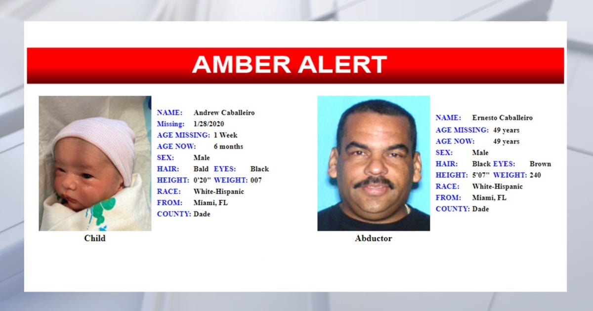 www.fox13news.com