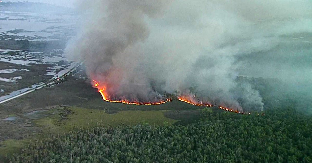 Hernando County fire crews monitoring 185-acre brush fire | FOX 13 ...
