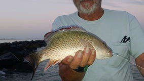 Fishing Report: August 7, 2020