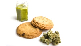 Medical marijuana edibles approved for sale, with limitations on shapes, colors