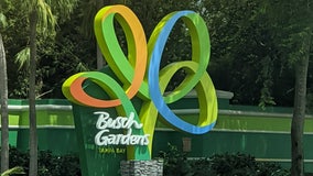 Tropical Storm Debby: Busch Gardens closes ahead of storm