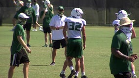 USF Bulls aren't asking to be paid to play