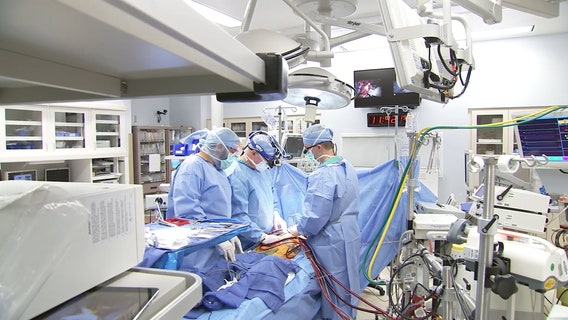 BayCare resuming elective surgeries in Hillsborough County