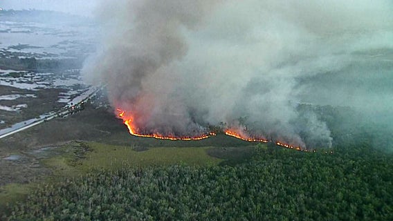 Hernando County fire crews monitoring 185-acre brush fire