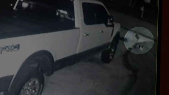 Video shows coyote snatch dog from front yard of Pasco home