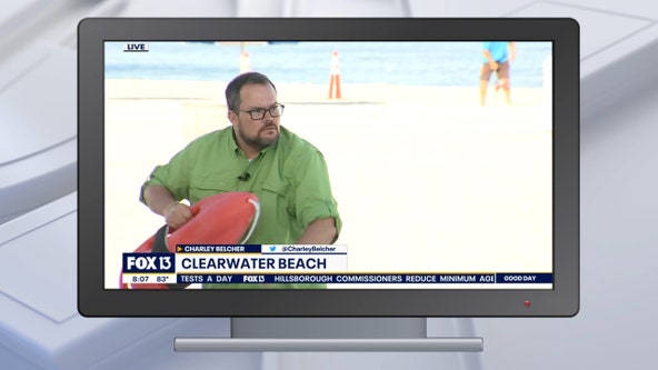 Good Day Goodies: August 21, 2020