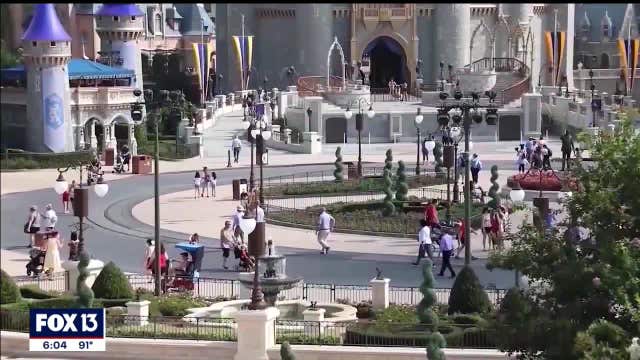 DeSantis backs added capacity at major theme parks