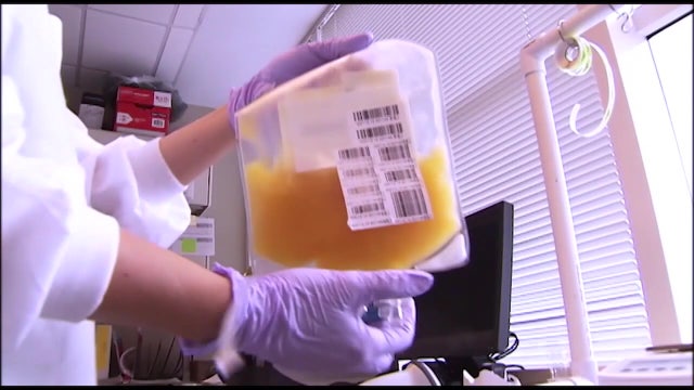 Governor DeSantis encourages those with COVID-19 antibodies to donate plasma 