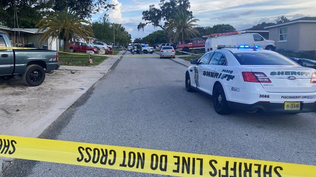 2-year-old critical after being hit along Port Richey neighborhood roadway