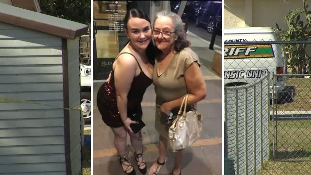 Owners of dogs that brutally attacked Spring Hill woman in February face thousands in fines