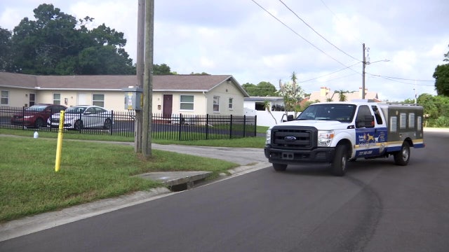 Police kill dog that attacked St. Pete woman, officer