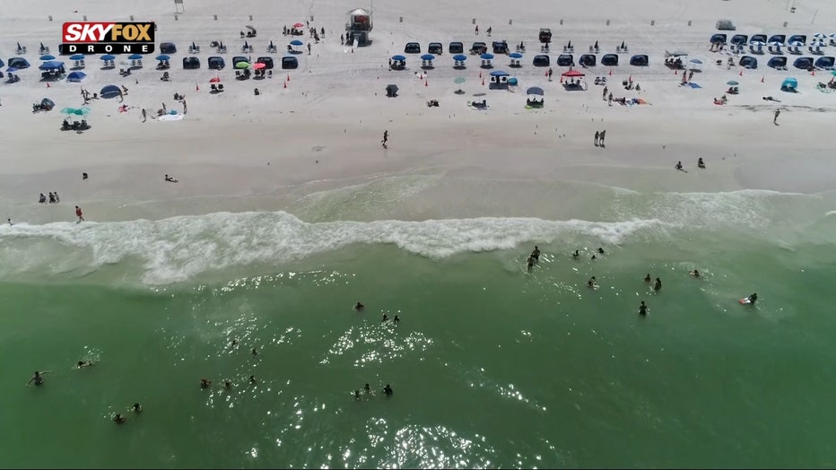 Clearwater Threshers on X: 🏝️🐾 The Clearwater Beach Dogs are still  expected to play at the scheduled time of 6:30 p.m. It's going to be  #pawesome  / X