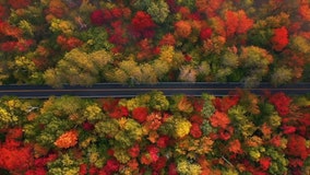 2020 US fall foliage prediction map shows where, when leaves are expected to change