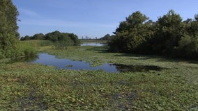 Explore 245 acres of nature in St. Petersburg