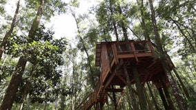 Old Town treehouse is the perfect Florida getaway