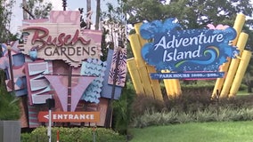 Busch Gardens, Adventure Island employees on edge as parent company announces layoffs