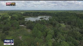 Florida's Green Swamp plays crucial role in state's waterways