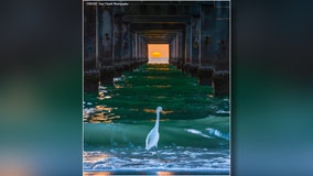 After three years Tampa photographer captures stunning sunset under Clearwater Pier