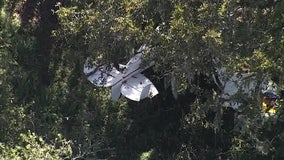 Pilot dead following Floral City small plane crash, deputies say