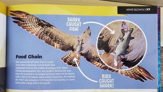 Believe it or not, local photographer's pic gets Ripley's attention