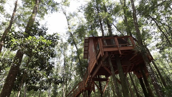 Old Town treehouse is the perfect Florida getaway