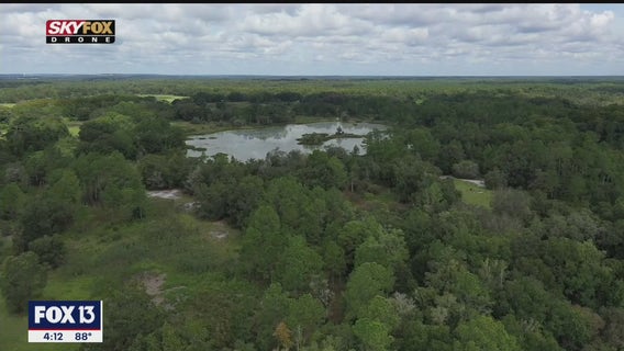 Florida's Green Swamp plays crucial role in state's waterways