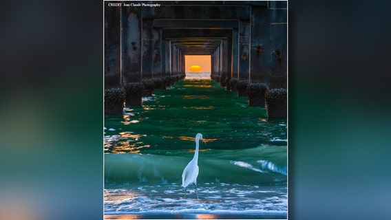 After three years Tampa photographer captures stunning sunset under Clearwater Pier