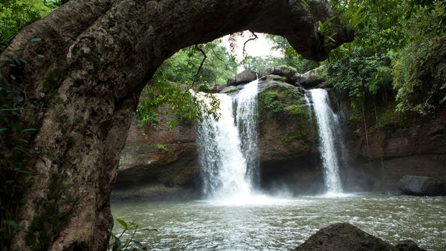 National park in Thailand will collect, mail litter back to visitors who left it behind