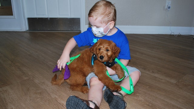 Young cancer survivor gives puppy to Bradenton child who completed chemotherapy for brain tumor