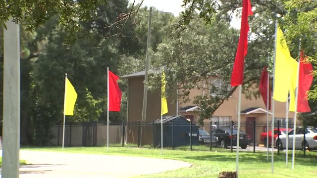 Tampa police investigating homicide at Garden Terrace Apartments