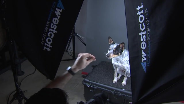 Mobile pet photo company opens brick and mortar studio amid pandemic