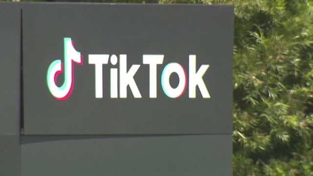 TikTok download ban beginning Sunday