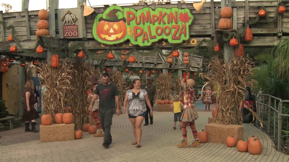 Scarecrow at ZooTampa