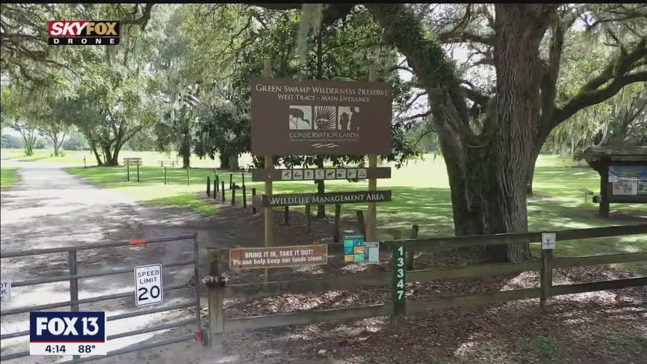 florida green swamp trails