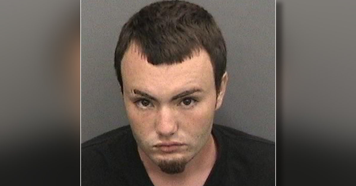 FHP: Tampa man arrested for DUI manslaughter following crash that ...