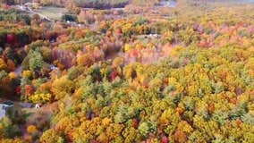 Drone captures vibrant fall foliage in Massachusetts