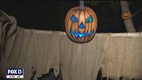 Artists' horrifying handiwork turns Safety Harbor backyard into eerie encounter